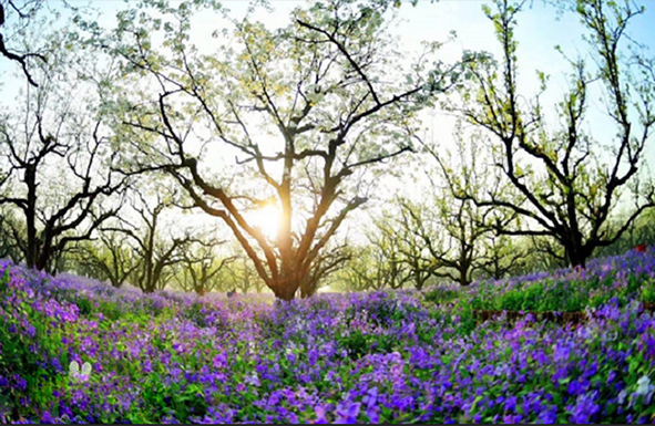 美得不可方物的雅称