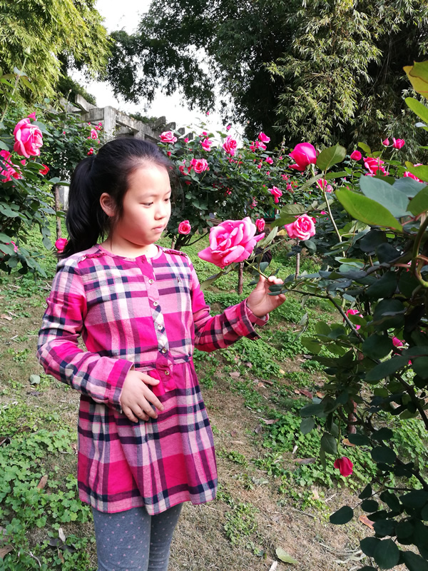 402 class civilized courtesy students -- Zhang Qinsi